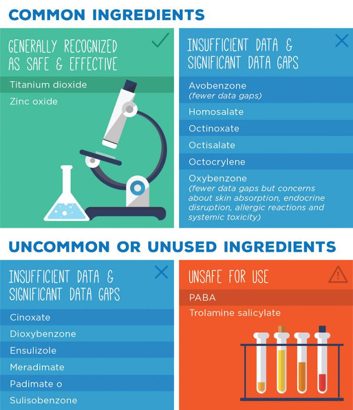 Sunscreen Ingredients Infographic