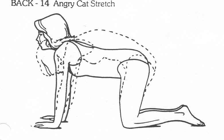 Angry Cat Stretch Exercise