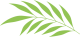 Palm Leaf Icon